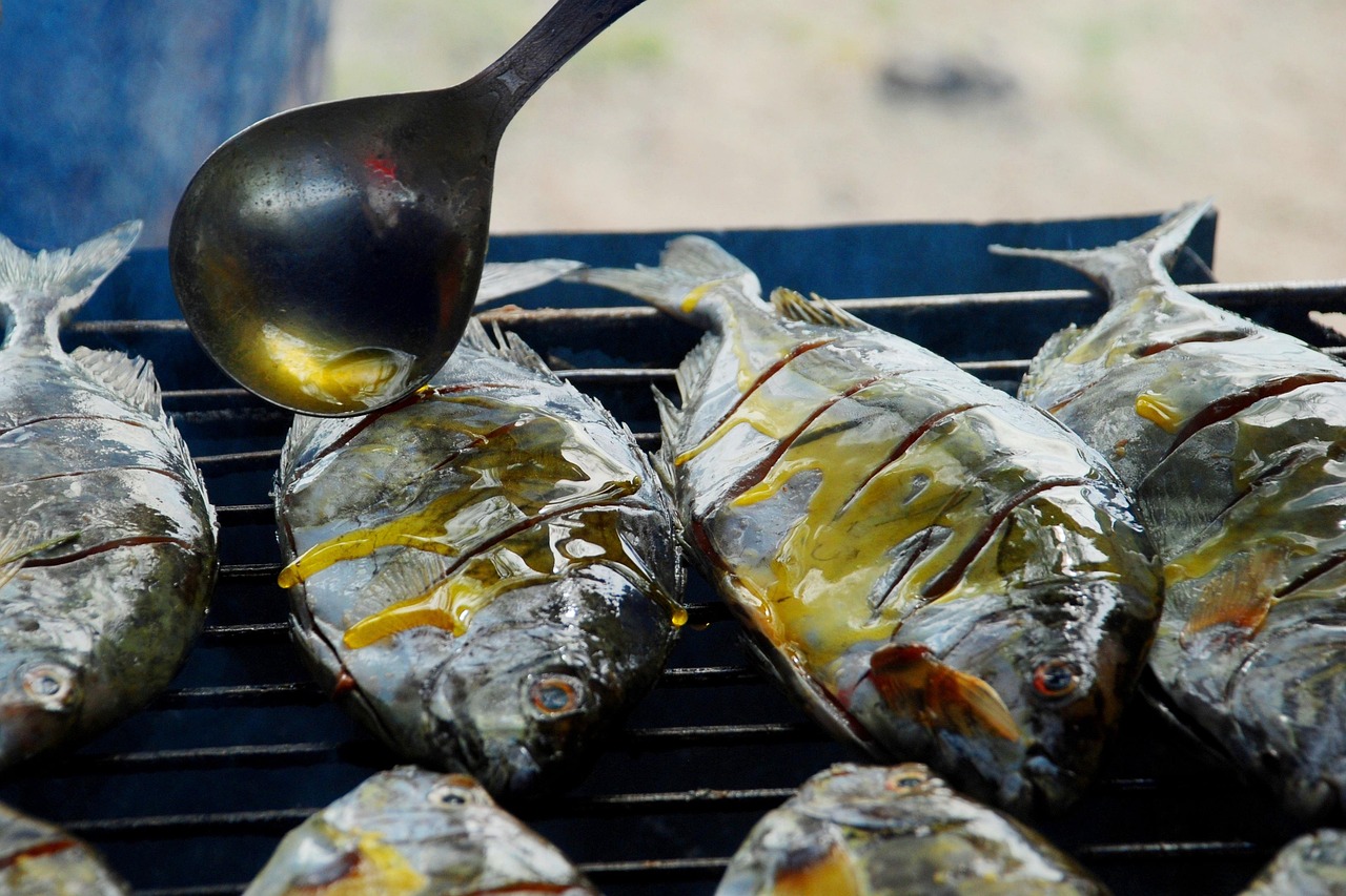 fish-6651864_1280